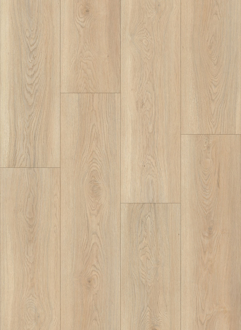 Craftsman-2