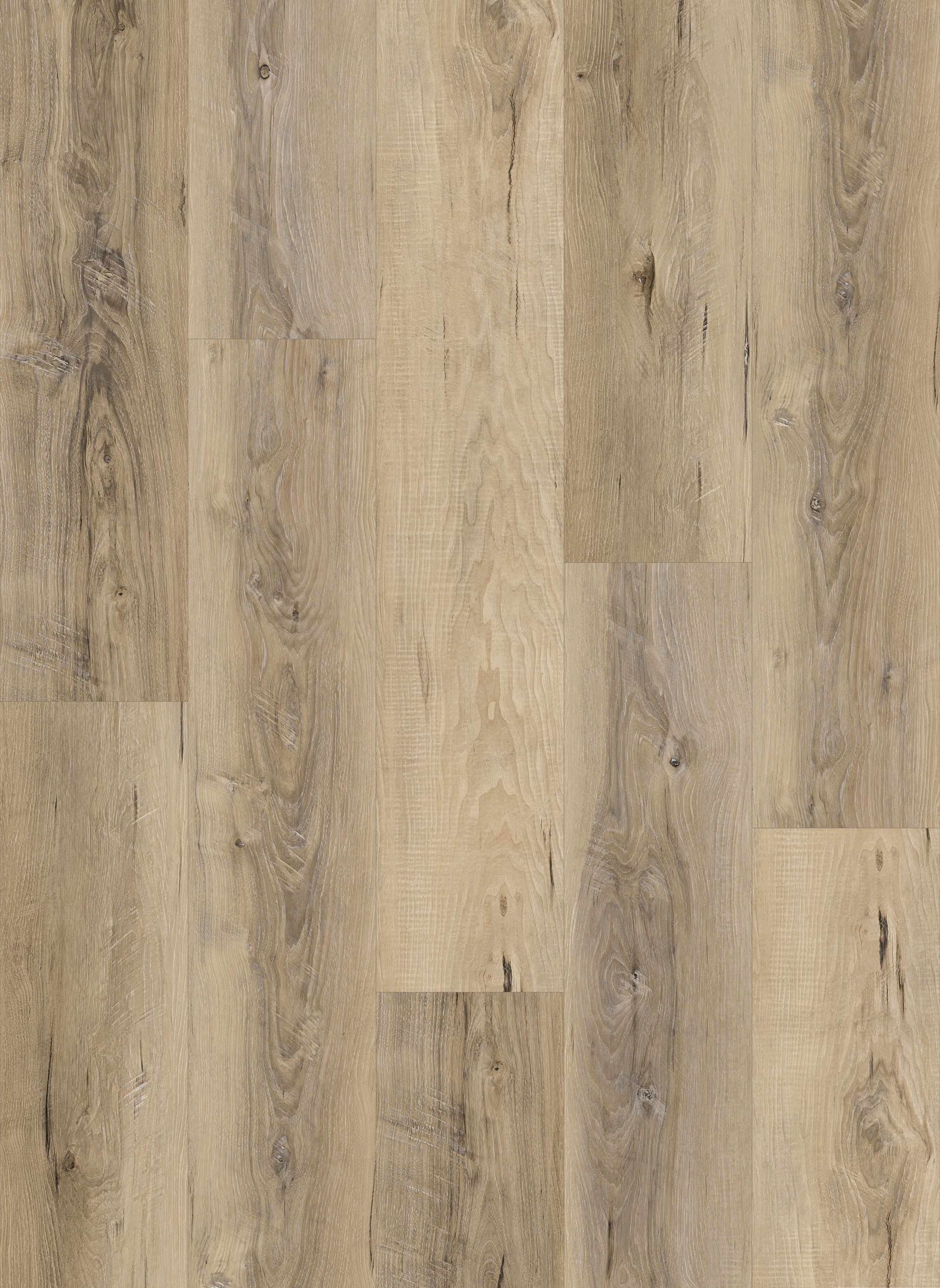 Craftsman-4