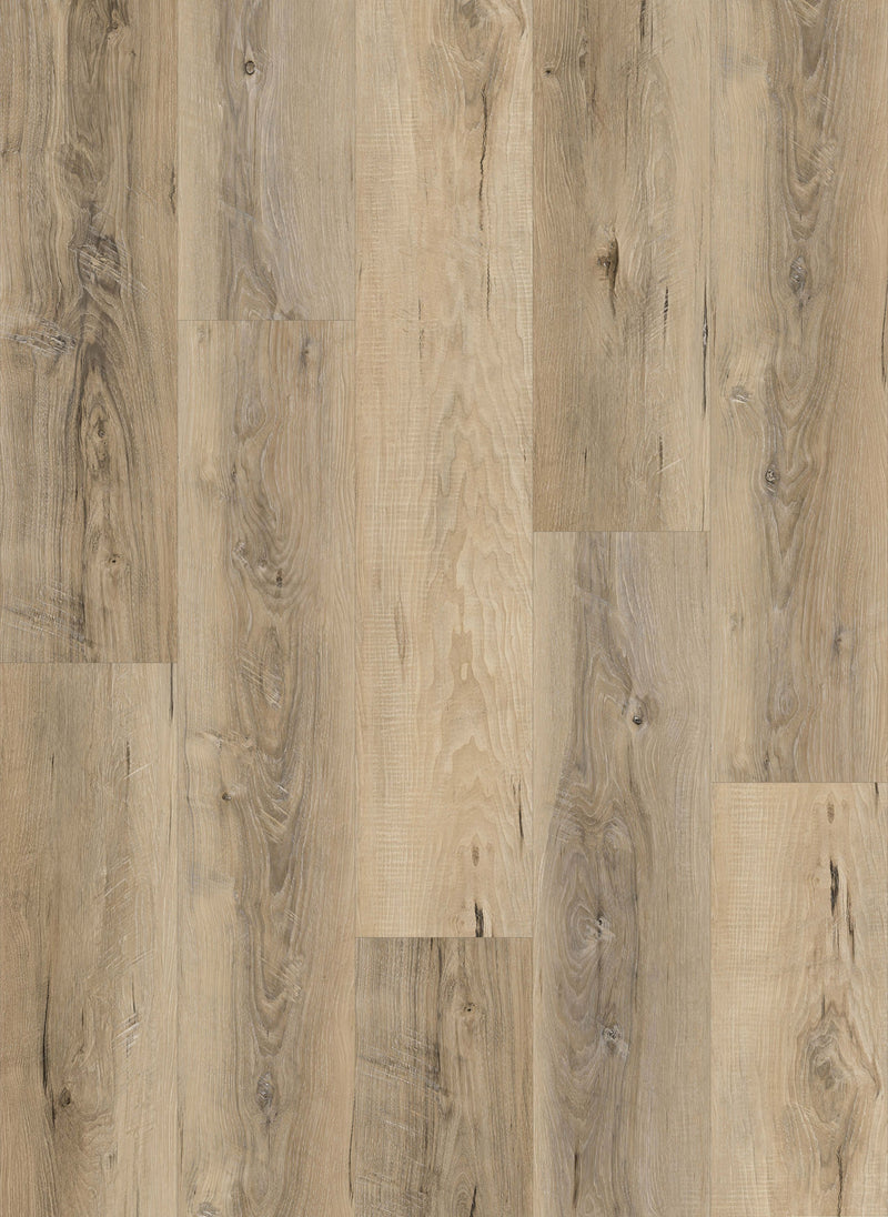 Craftsman-4