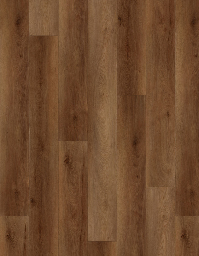Craftsman-6