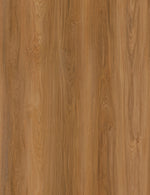 96 Elm